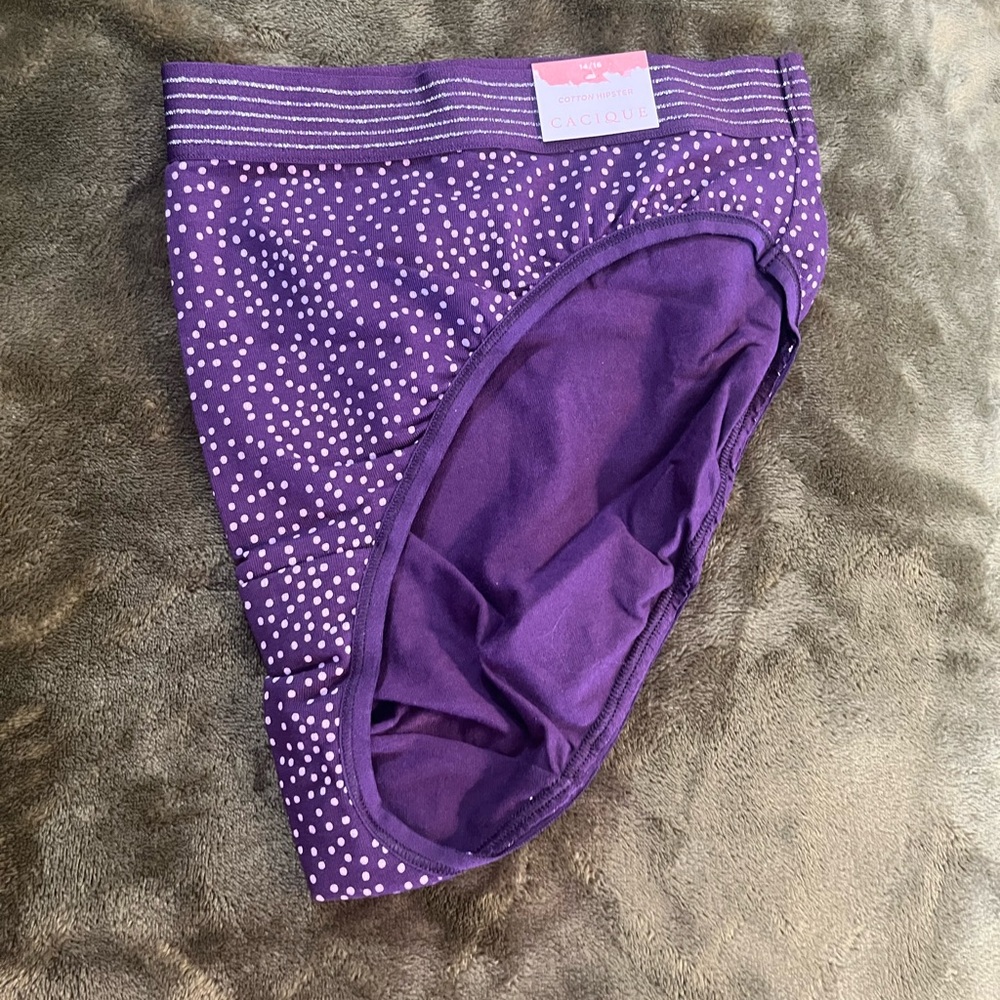 Lane Bryant Cacique cotton hipster panty